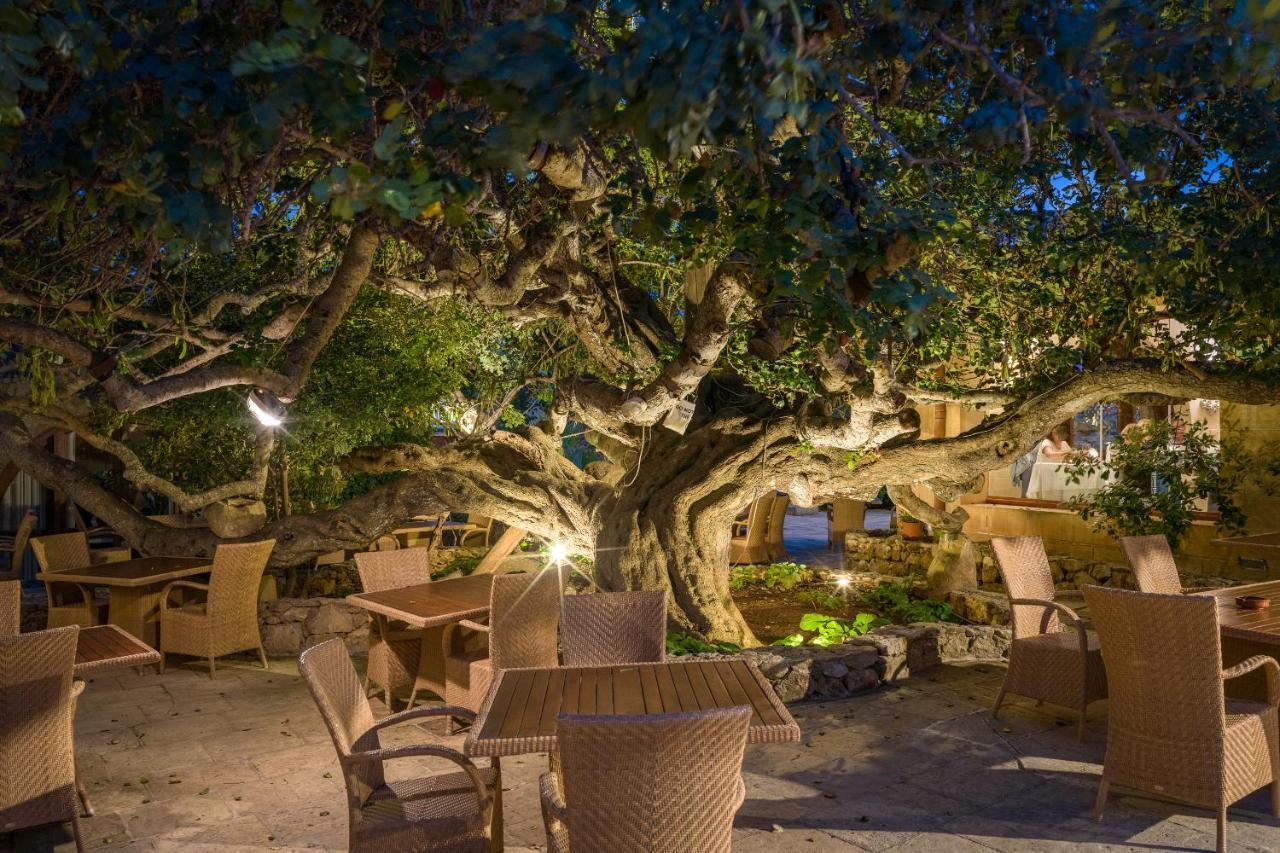 Hotel Ta' Cenc & Spa Sannat Exterior photo The Banyan Tree at the Four Seasons Resort